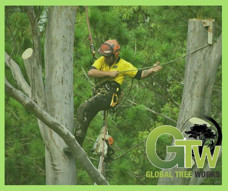 Global Tree Works featured image