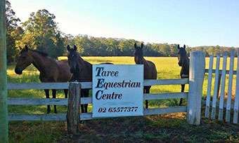 Taree Equestrian Centre gallery image 1