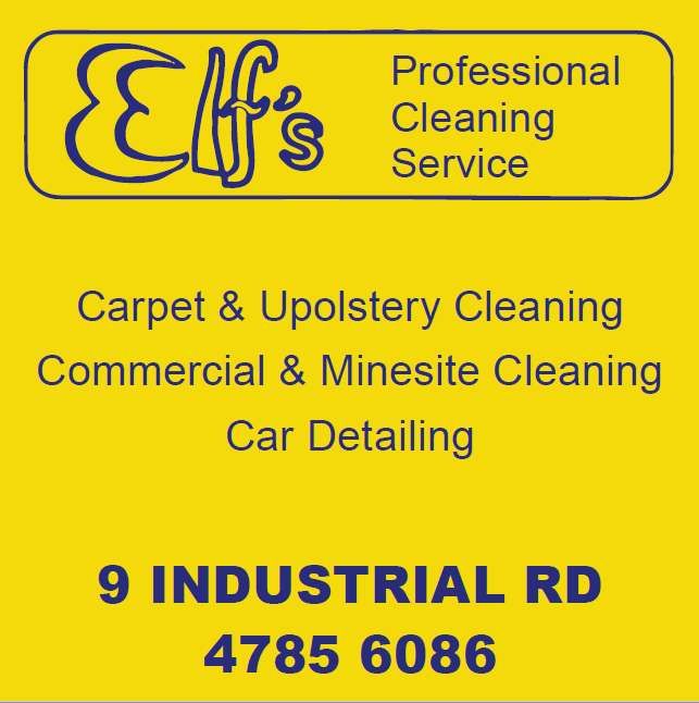 Elf's Professional Cleaning Service featured image