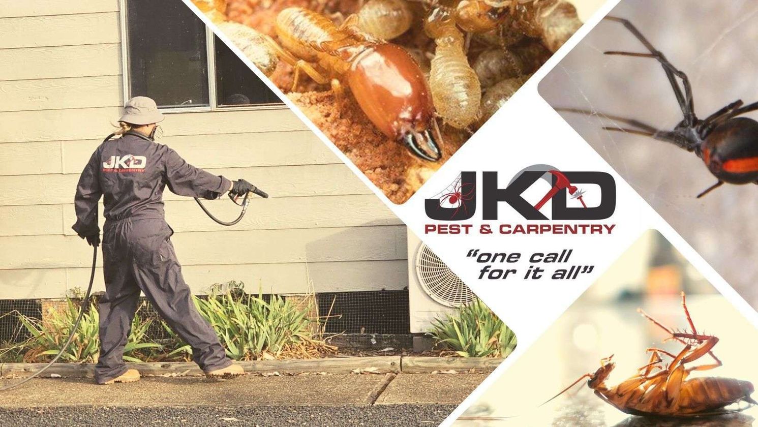 JKD Pest & Carpentry featured image