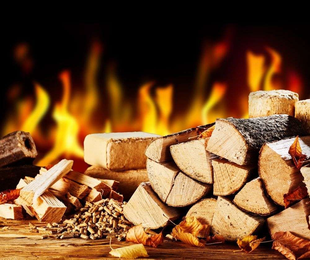 Bluey's Dinkum Firewood featured image