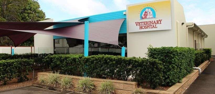 East Bundaberg Veterinary Hospital featured image
