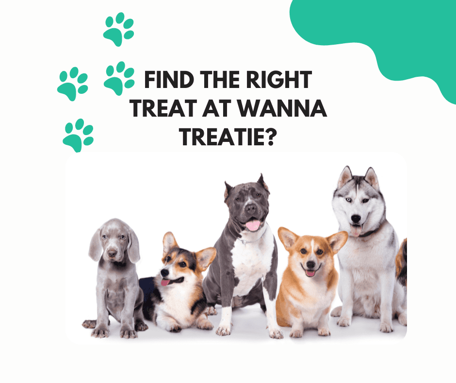 Wanna Treatie Pet Treats featured image
