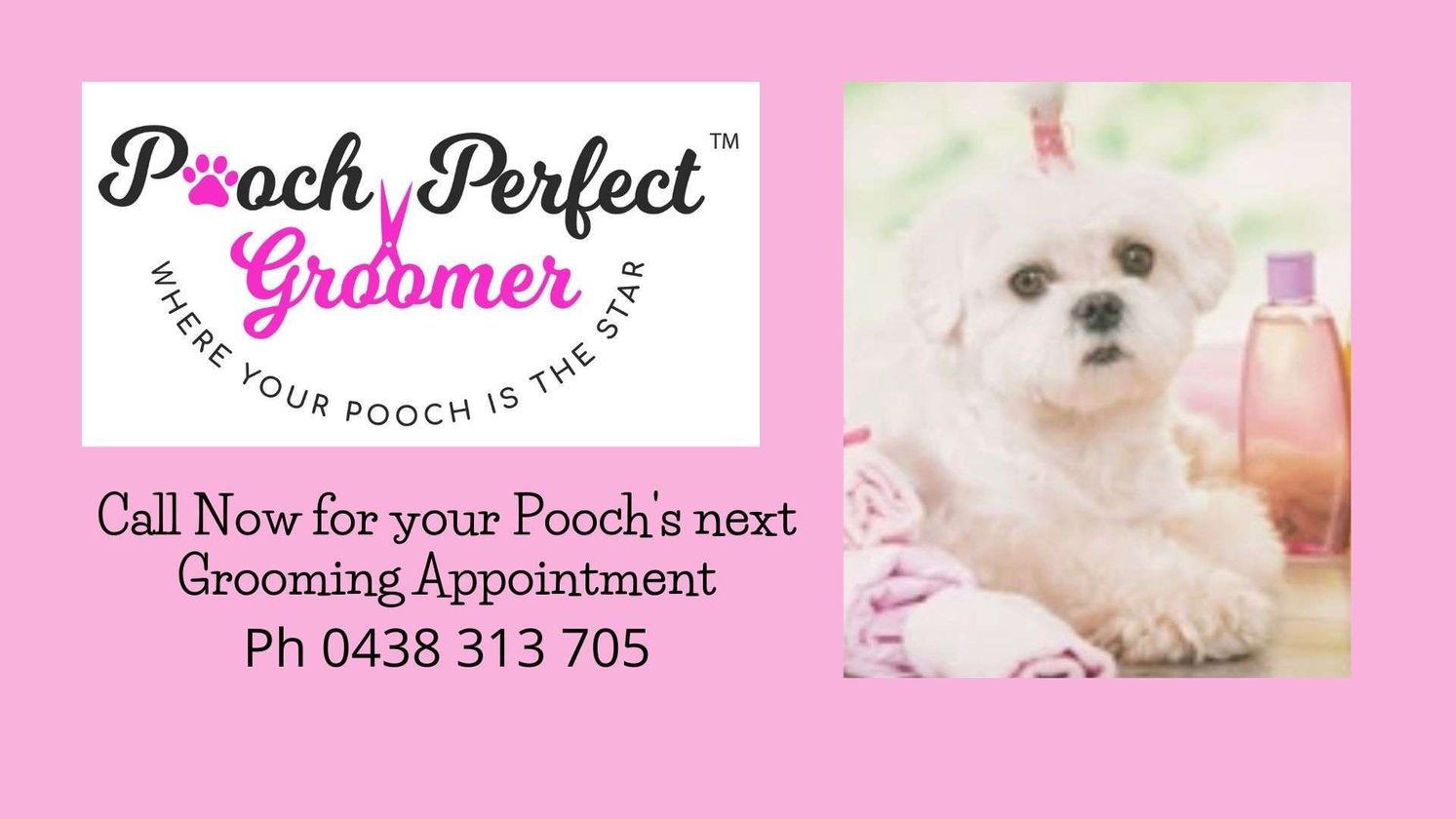 Pooch Perfect Groomer gallery image 1