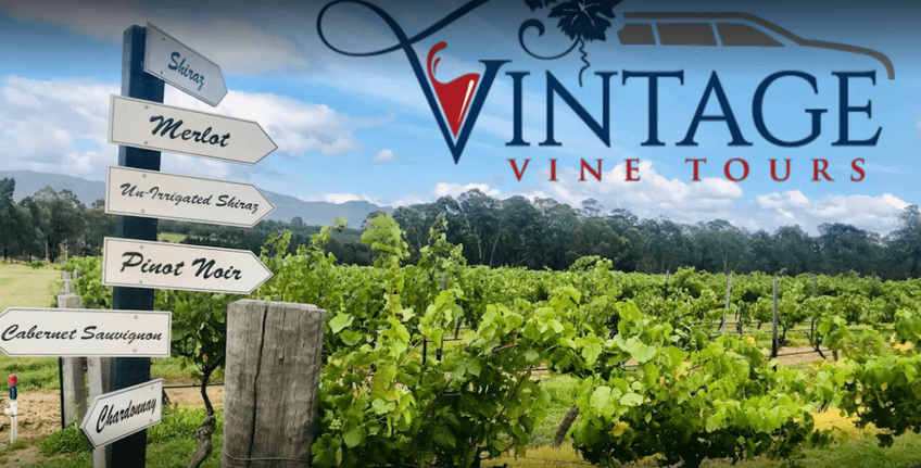 Vintage Vine Tours gallery image 17