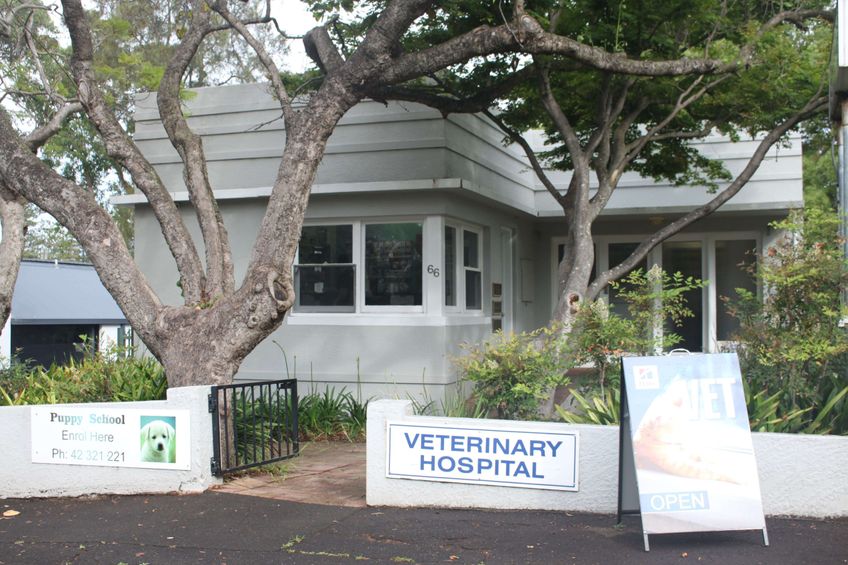 Kiama Veterinary Hospital featured image