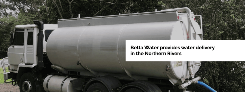 Betta Water featured image
