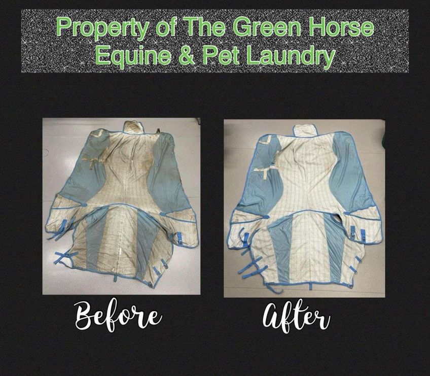 The Green Horse Equine & Pet Laundry gallery image 9