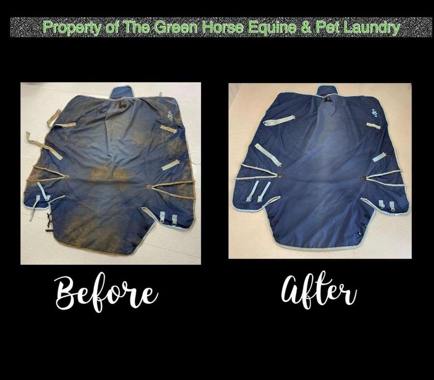 The Green Horse Equine & Pet Laundry gallery image 8